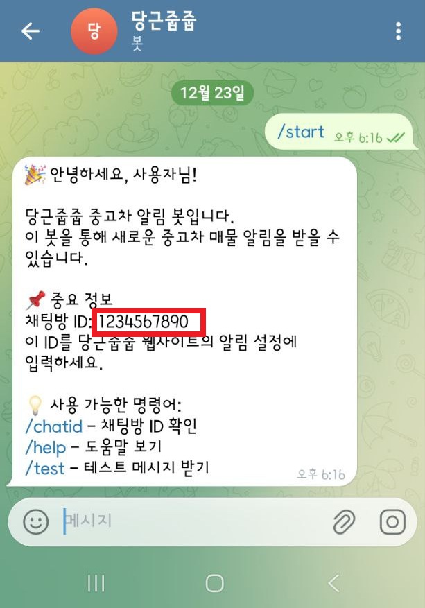 Chat ID 확인